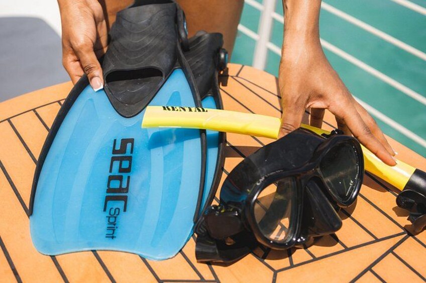 Deluxe Half-Day Snorkel Sail on Luxury Catamaran 4
