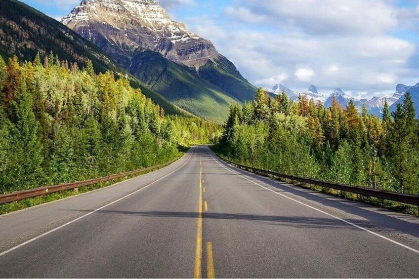 A two-lane road with a guardrail, surrounded by dense forest and mountains. 3