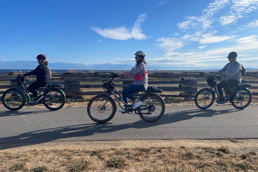 Victoria BC - Coast & Castle Tour by E-Bike 2