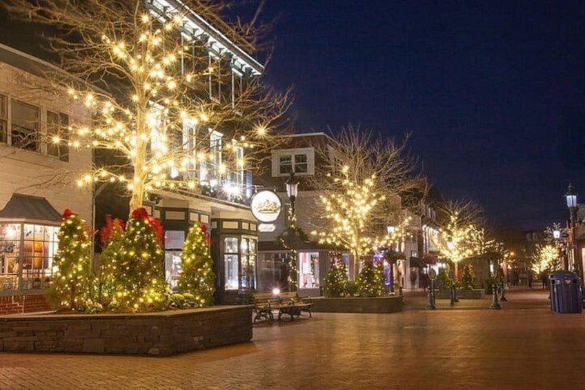 Cape May Personalized Self-Guided App Tour 4