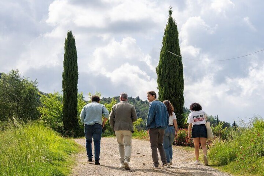 A group of people walking on a gravel path surrounded by greenery and tall trees. 1