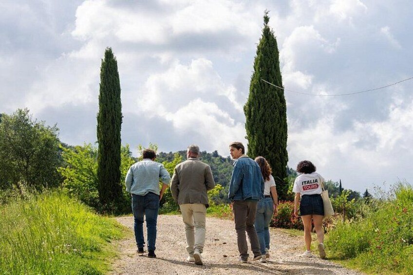 San Gimignano & Tuscan Wine Tasting from Florence 1