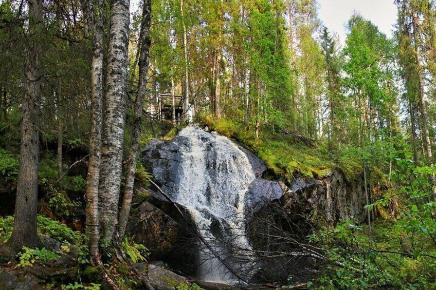 A waterfall surrounded by birch trees and a forested area. 1
