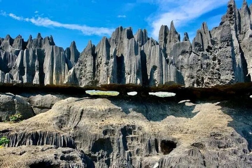 A landscape that symbolizes the untamed nature of Madagascar 1