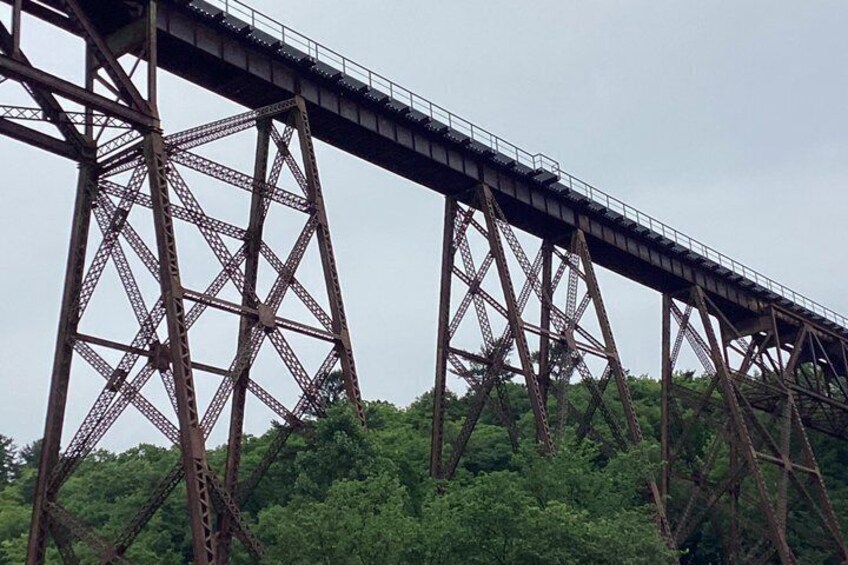 Un gran puente de acero con estructura reticular que se extiende sobre un bosque denso. 5