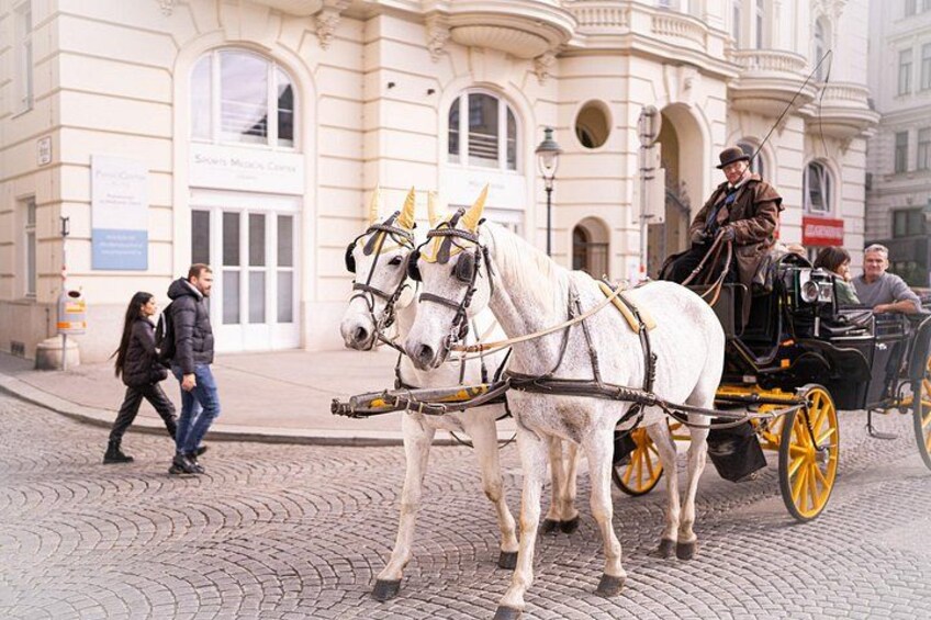 Romanian Vienna A Taste of History and Imperial Flavors 5