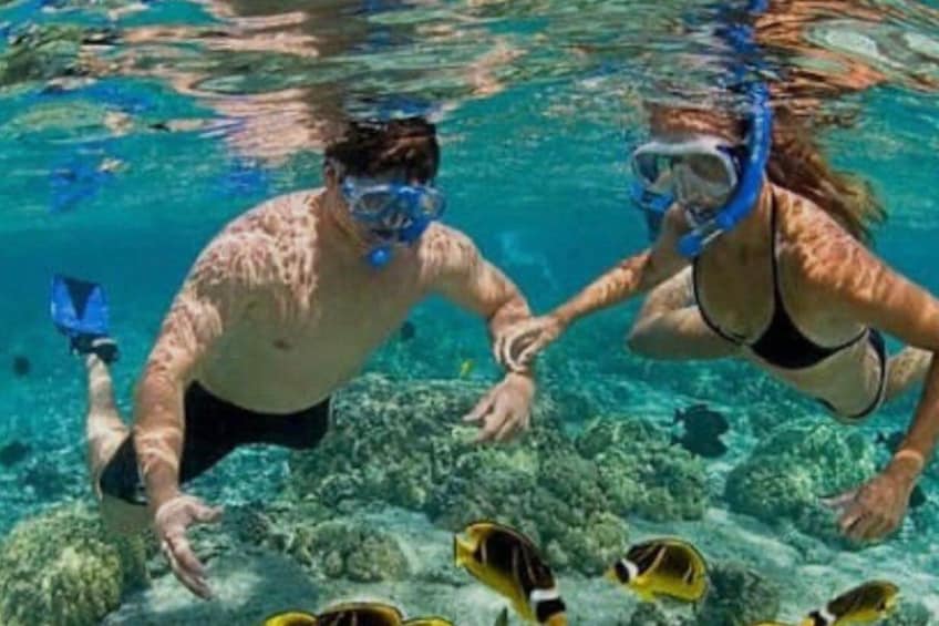 Two people snorkeling underwater with fish around them. 5