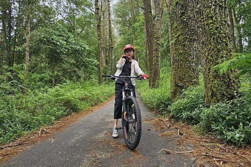 En person cykler på mountainbike på en skovvej. 1