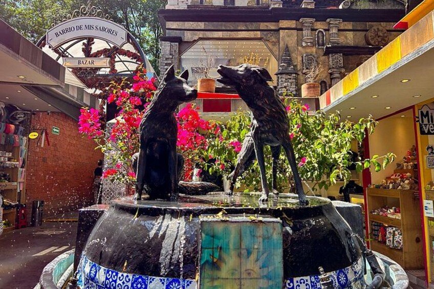 CDMX Enjoy a unique tour of Xochimilco, Coyoacán, and UNAM 2