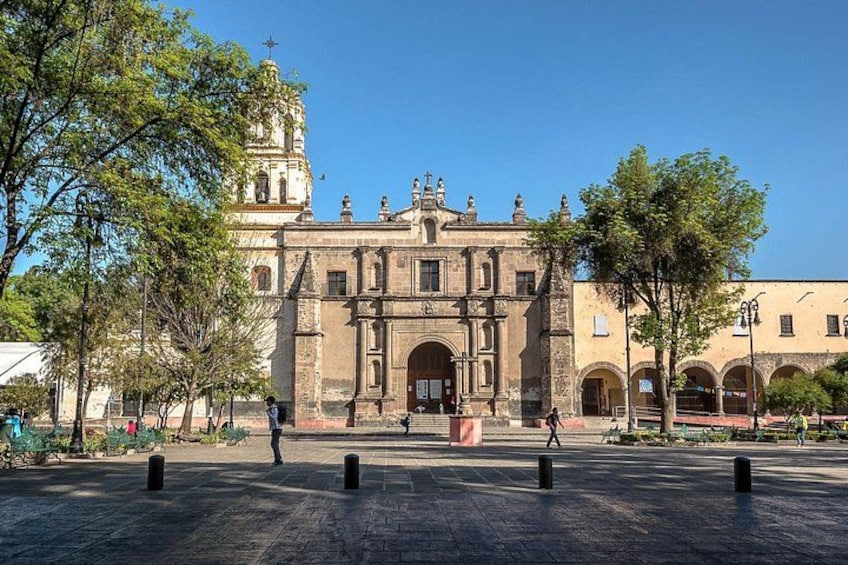 CDMX Enjoy a unique tour of Xochimilco and Coyoacán 3