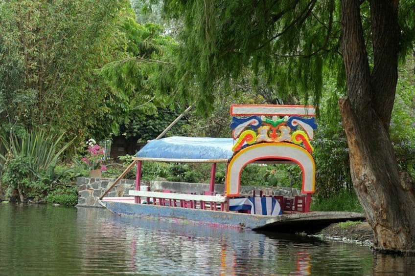 CDMX Enjoy a unique tour of Xochimilco and Coyoacán 4