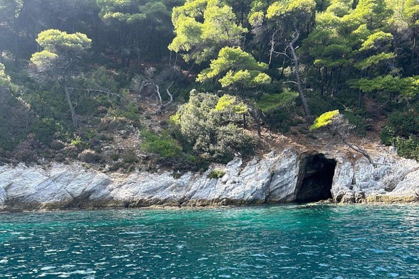 A coastal landscape with a rocky shoreline, clear turquoise water, and dense green pine trees. 5
