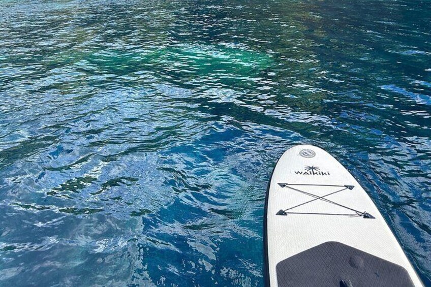 Ein weißes Stand-Up-Paddleboard mit dem Schriftzug 'WaiKiki', das auf klarem, blauem Wasser schwimmt. 5