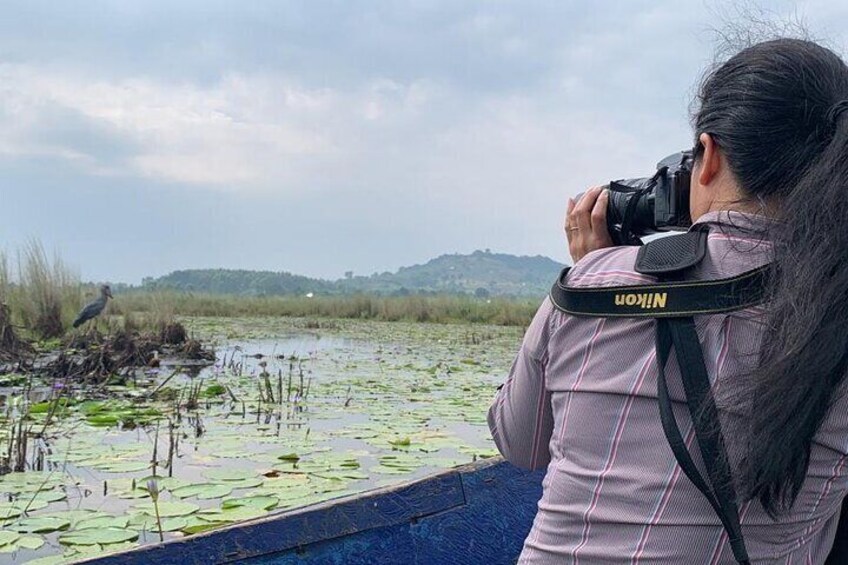 A person taking a photograph of a wetland area with water lilies and a bird. 2