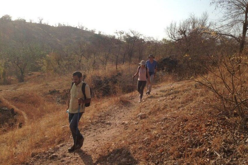 Scenic Hiking Through the Aravalli Hills of Udaipur 2