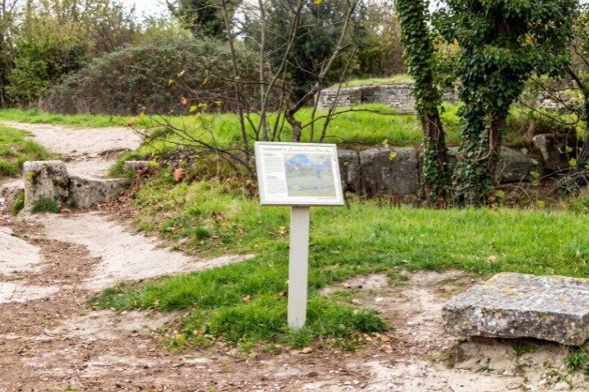 Saint-Rémy-de-Provence Van Gogh Self-Guided Walking Tour 2