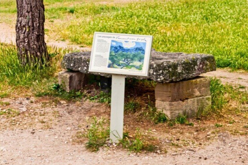 Saint-Rémy-de-Provence Van Gogh Self-Guided Walking Tour 4