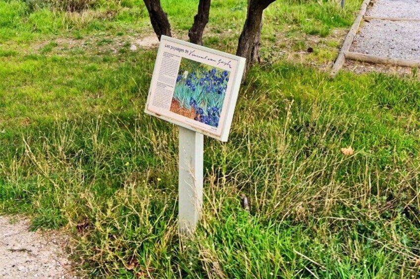 Saint-Rémy-de-Provence Van Gogh Self-Guided Walking Tour 3