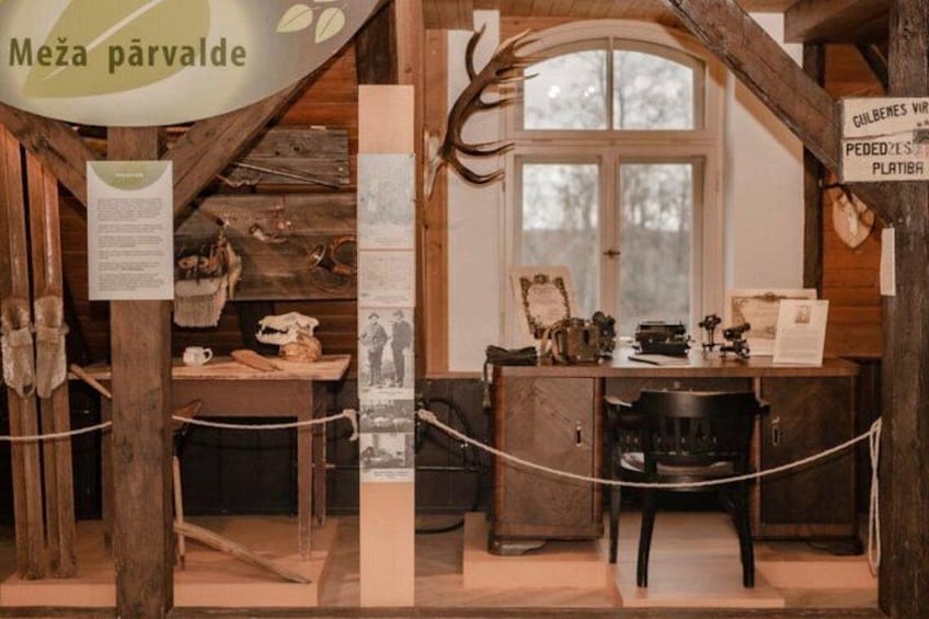 Forest museum 3