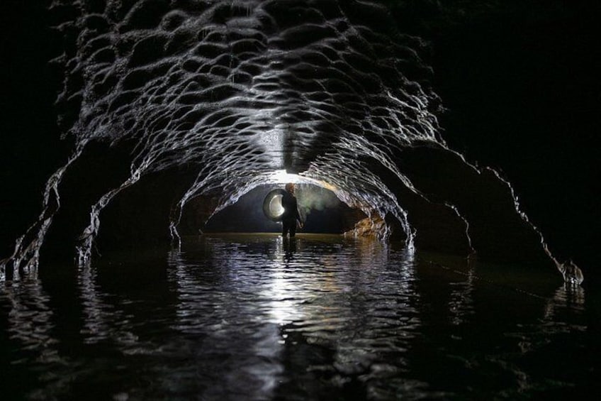 Okohua Glowworm Cave Tour 2