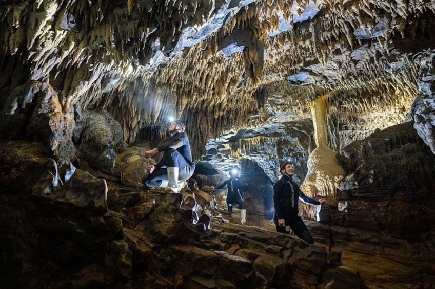 Okohua Glowworm Cave Tour 4