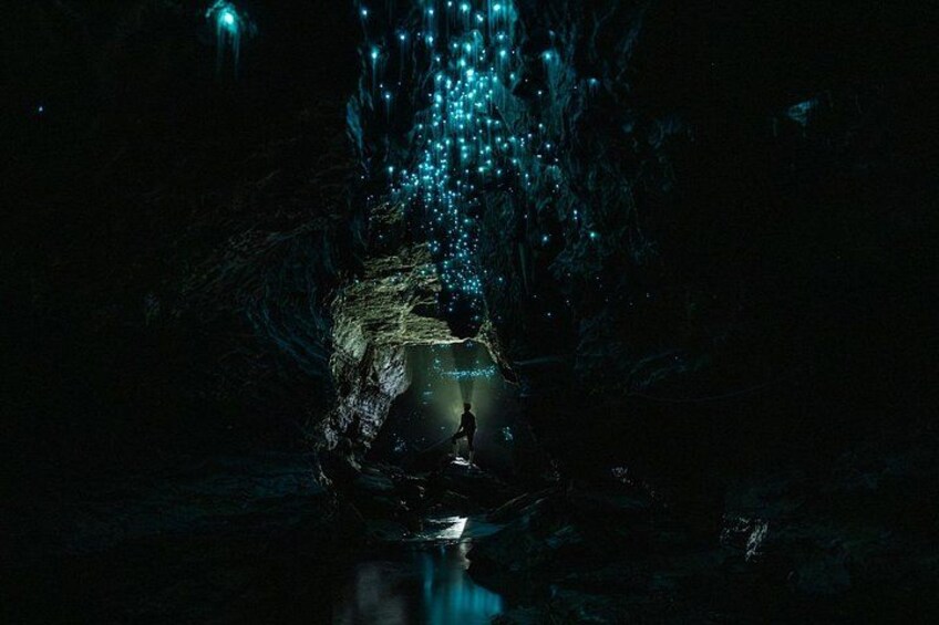 Okohua Glowworm Cave Tour 3