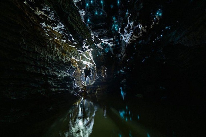 Okohua Glowworm Cave Tour 2