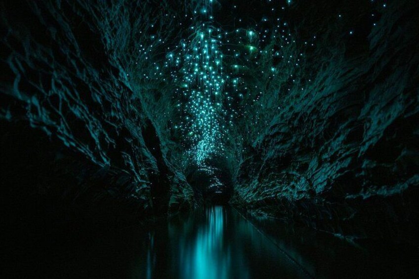 Okohua Glowworm Cave Tour 5