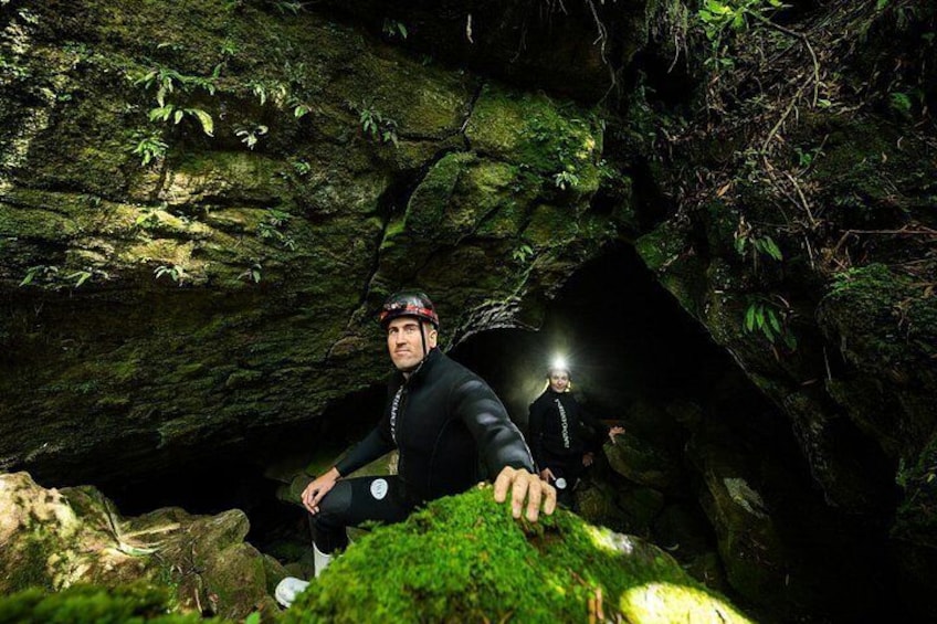 Okohua Glowworm Cave Tour 5