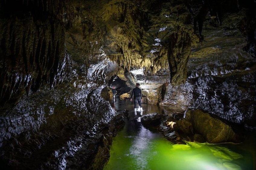 Okohua Glowworm Cave Tour 2