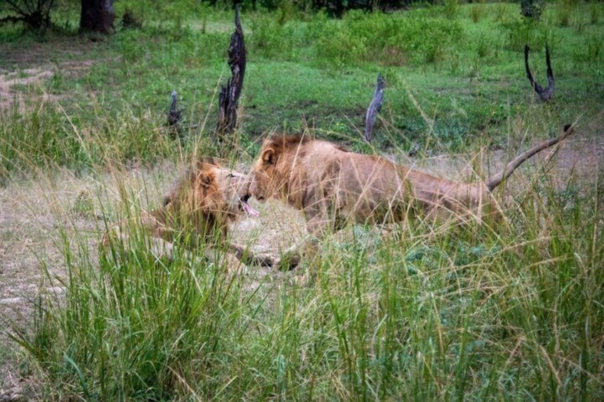Experience Chobe Day Trip Tour 3