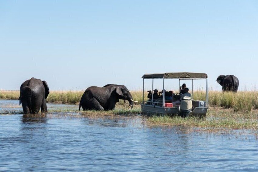 Experience Chobe Day Trip Tour 5