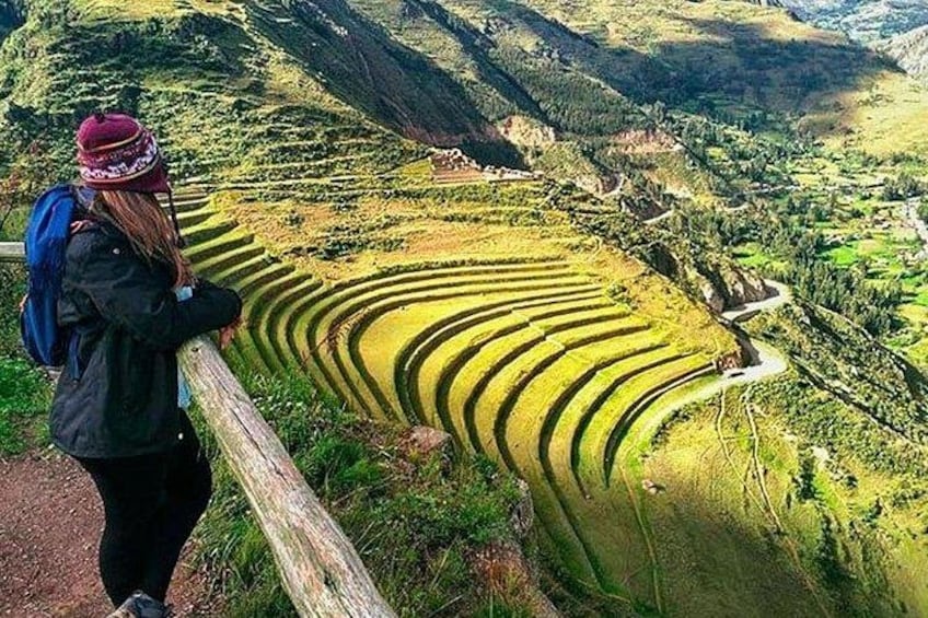 A person standing on a wooden platform overlooking terraced fields. 1