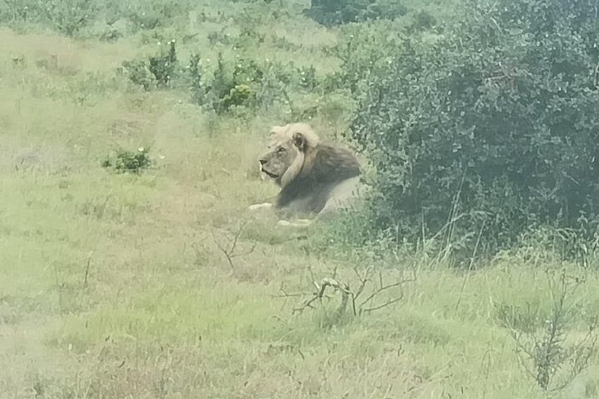 Private Group Addo Elephant National Park All Inclusive Safari 2