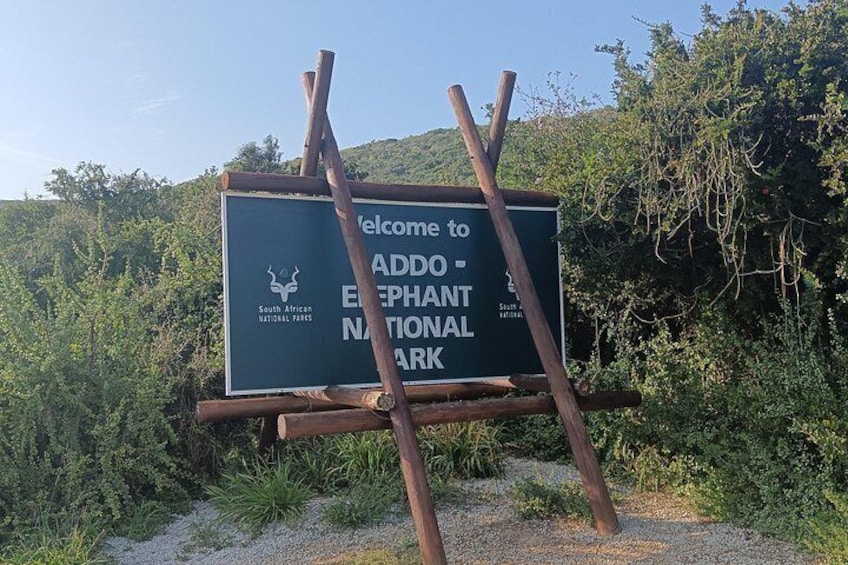 Private Group Addo Elephant National Park All Inclusive Safari 4