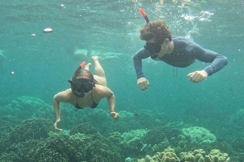 Två personer som snorklar under vattnet bland korallformationer. 2