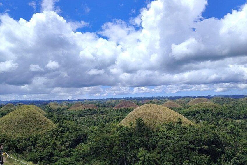 "Marvel at nature’s sweetest illusion Bohol’s iconic Chocolate Hills, a breathtaking view that looks good enough to eat!" 1