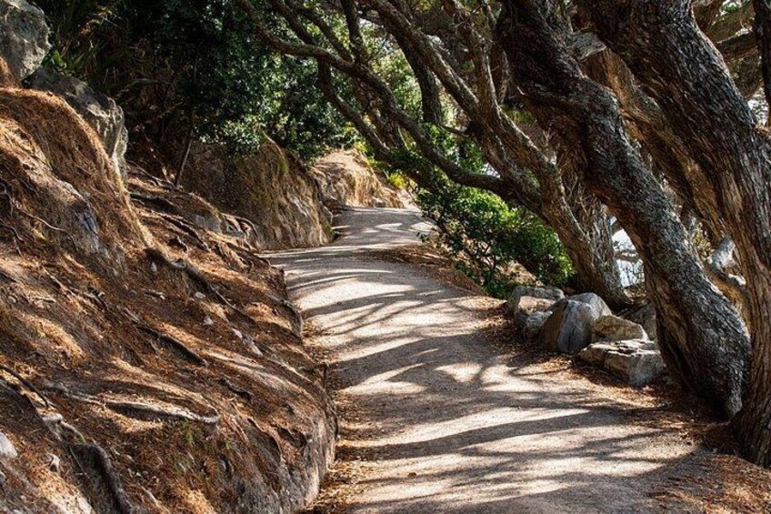 Mount Maunganui, Tauranga Day Tour from Auckland 3