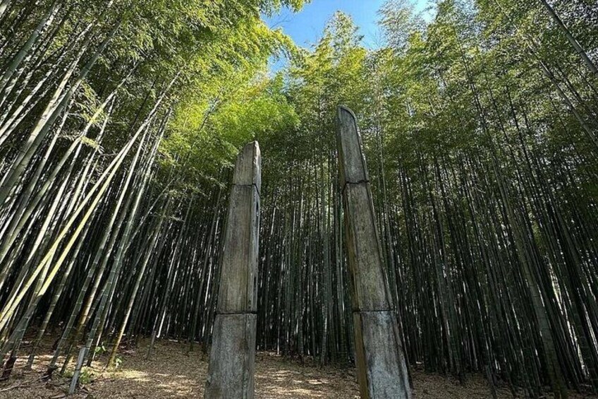 Busan Private Custom Tour Half Day or Full Day 2