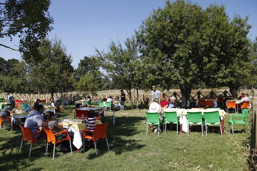 Zona pranzo all'aperto con tavoli e sedie, circondata da alberi e da una recinzione. 3