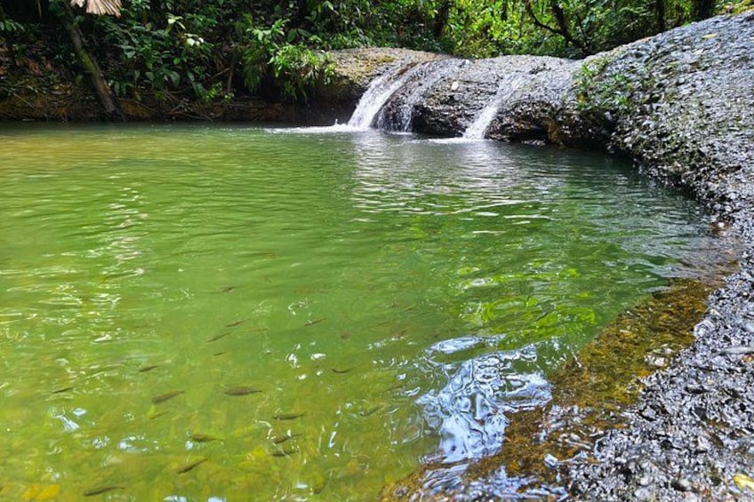 Masa de agua cristalina con una pequeña cascada, rodeada de rocas y vegetación. 4