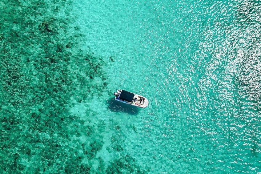 Aruba Private Boat Tour with Snorkeling 5