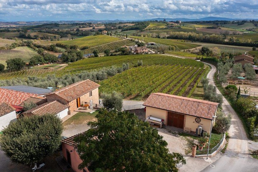 Le Bèrne from above 4