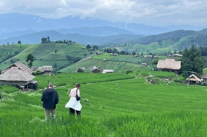 Pa Pong Piang Rice Terrace and Doi Inthanon National Park 2