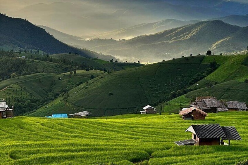 A lush green valley with terraced fields and traditional houses. 1