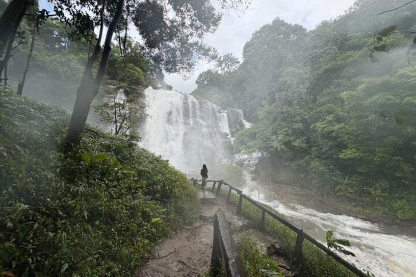 A waterfall, a person on a wooden walkway, and dense greenery. 2