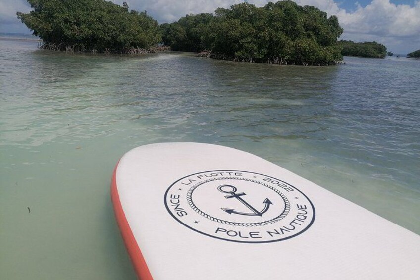 Boat Tour with Lunch in the Water in Guadeloupe Lagoon 3
