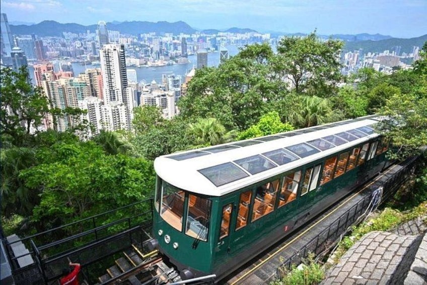 A green cable car with a transparent roof, traveling along a track amidst lush greenery and a cityscape in the background. 1