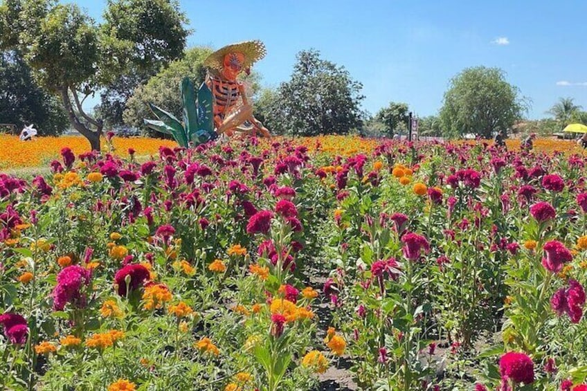 Un campo fiorito e colorato con un'ampia statua di una donna con un sombrero. 2