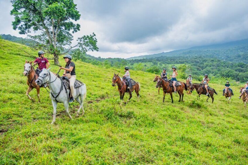 A group of people horseback riding on a grassy hillside with trees and a cloudy sky in the background. 4